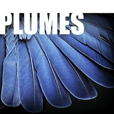 Plumes